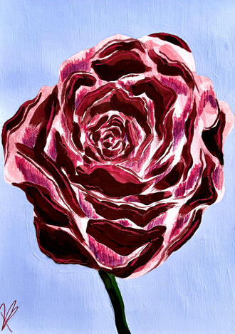 my petals, my pressure