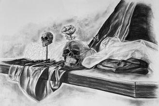 vanitas study